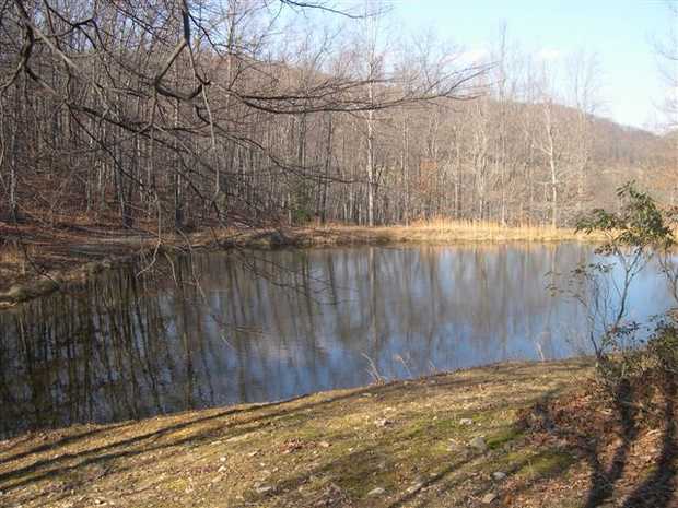 Secluded Ranch