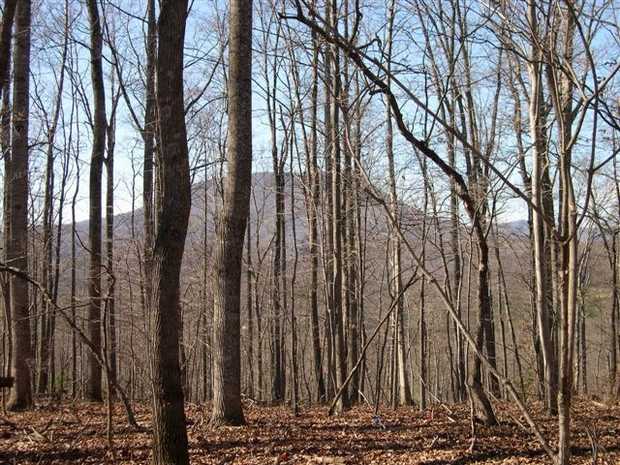 The Grand View Subdivision