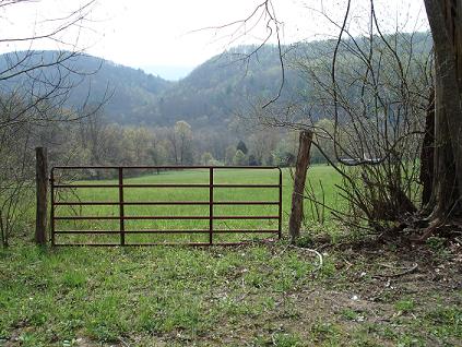 Beautiful Tract of Land - UNDER CONTRACT