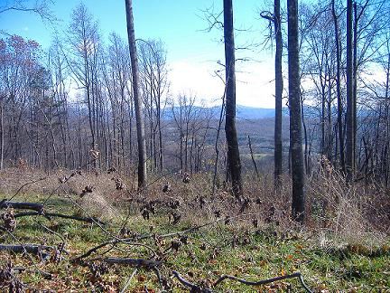 Wooded Hilltop Site