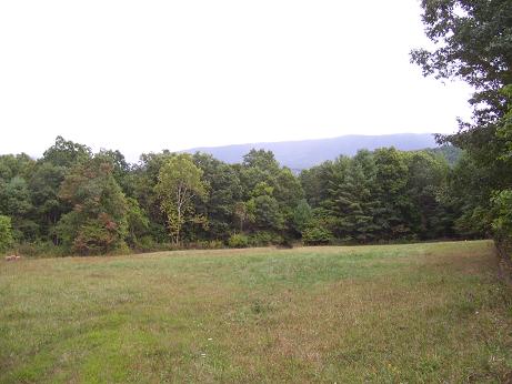 Tract of Coles Mountain
