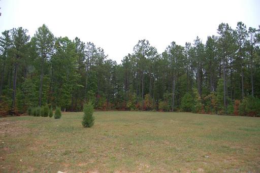 Welcome to Paradise! - UNDER CONTRACT
