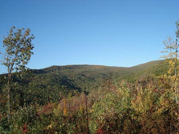 North Peak Estates